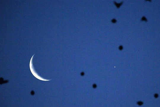 新年首个天象奇观——金星合月上演