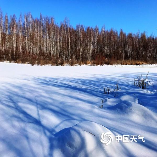 黑龙江:雪地里的童话森林