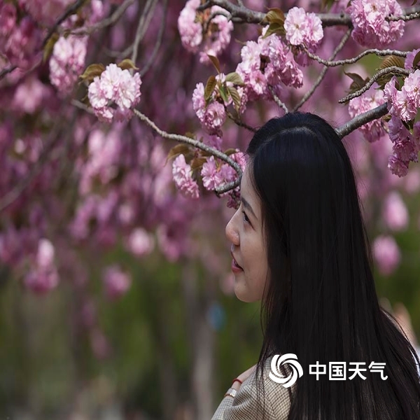 都说美人如花,在这春花烂漫的季节,美女们踏青赏花,与花争艳.