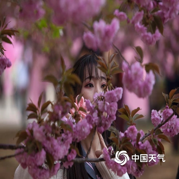 都说美人如花,在这春花烂漫的季节,美女们踏青赏花,与花争艳.