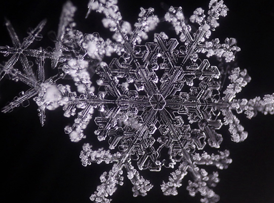 微距镜头里 每一朵雪花都是精美的艺术品
