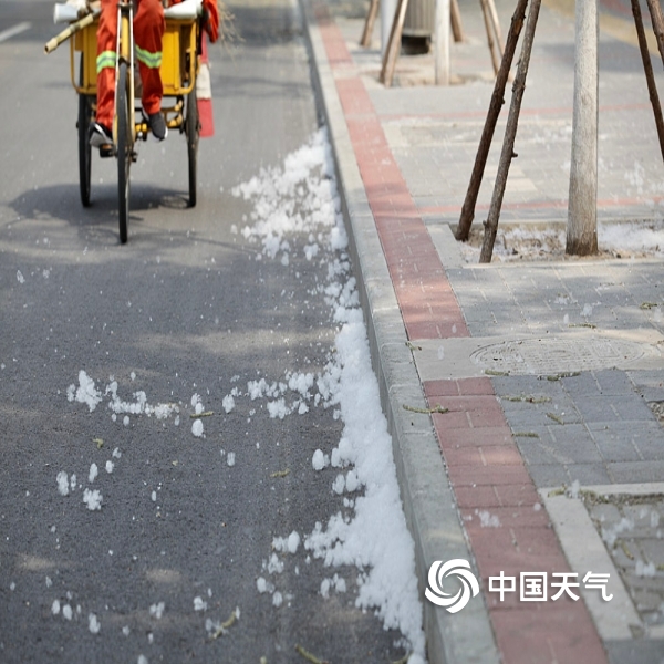 北京天气温暖 杨柳絮纷飞