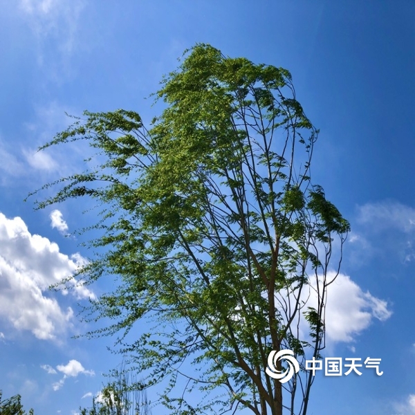 中国天气网讯 今天(21日)北京大风继续吹,蓝天霸屏,摄影记者来到中坞
