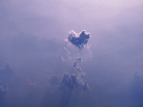 520花式表白：大自然也有甜蜜时刻