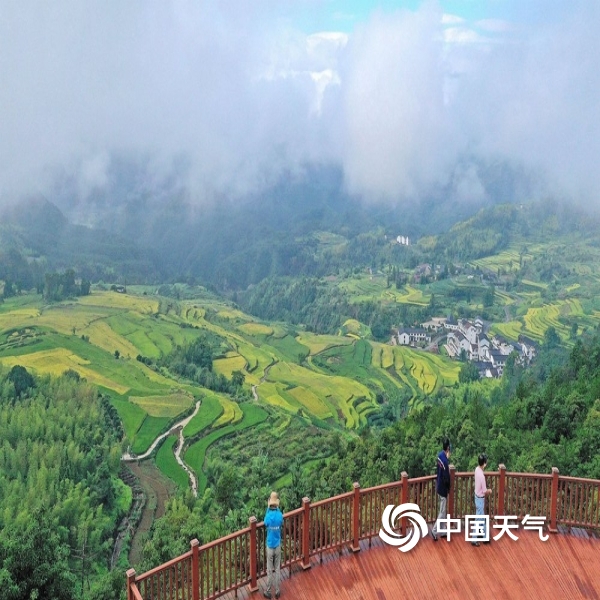 航拍浙江仙居杨丰山梯田 风光美如画-图片-中国天气网