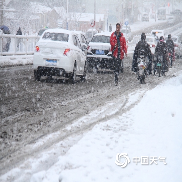 雪花纷飞迷人眼 山东多地出现降雪-图片-中国天气网