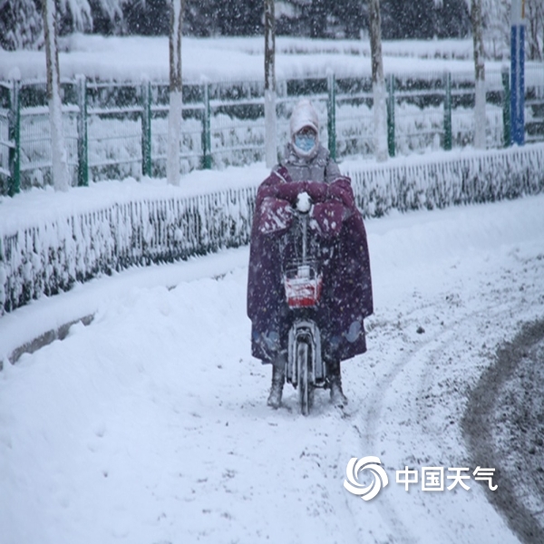 雪花纷飞迷人眼 山东多地出现降雪-图片-中国天气网