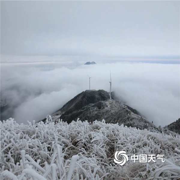 浙江云和白鹤尖现雾凇美景 美若仙境