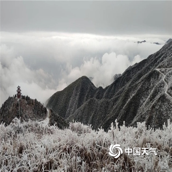 浙江云和白鹤尖现雾凇美景 美若仙境