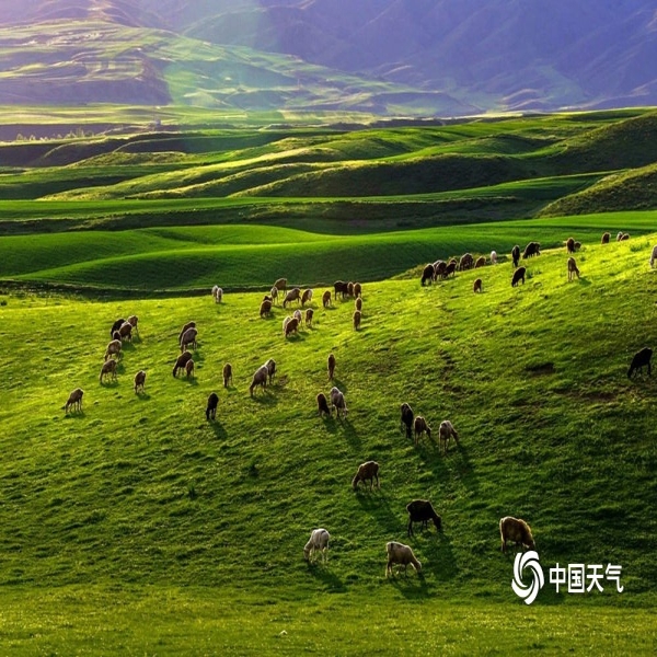 中国天气网讯 夏日里的新疆塔城地区塔城市塔尔巴哈台山夏牧场,风光