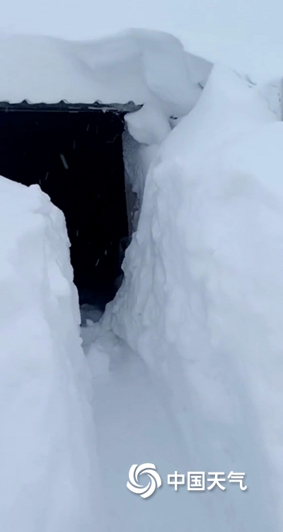 局地积雪达半米直击东北三省和内蒙古强雨雪天气