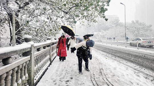 大雪纷飞！湖南湘西州雨雪压断树枝 环卫工人清扫忙