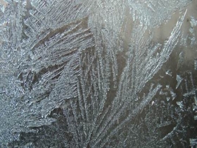 大自然的杰作！哈尔滨天气寒冷 “冰窗花”悄然绽放