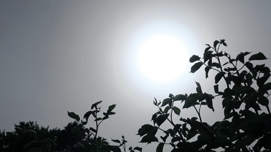 沙塵天氣來襲 北京出現火星同款“藍太陽”