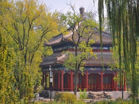 北京气温多起伏 圆明园草木仍有夏末之意 