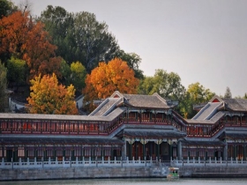 秋已深叶正浓 北京最是橙黄橘绿时