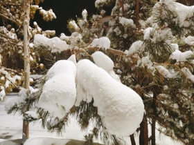 甘肃玉门迎来今冬首场降雪 最低气温跌破零下20℃