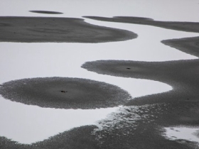 黑与白的碰撞！吉林跃马湖冰雪似天然水墨画
