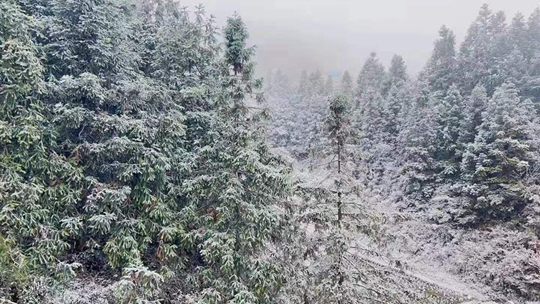 貴州遭遇寒潮天氣 部分地區出現降雪