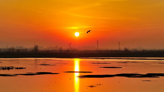 水天一色 夕陽下河南汝河呈現暖暖橙紅色
