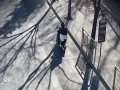 冬至街头实拍 北京正午最长投影