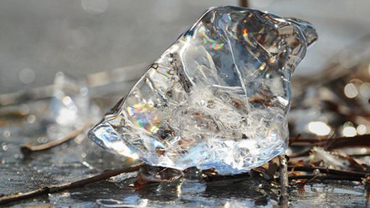 冬日里的细节美 圆明园湖面冰块璀璨如钻石