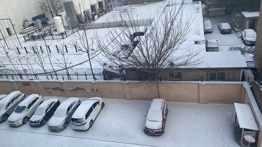 地面屋顶见白 北京迎来兔年首场降雪