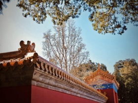 蓝天下的北京地坛公园 红墙黄瓦更显古朴