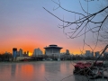 天空中一抹亮色！今晨北京橘粉色朝霞美翻了