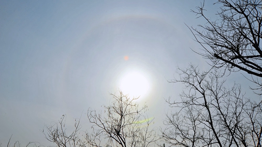 今日二月二“龍抬頭” 北京上空出現日暈景觀