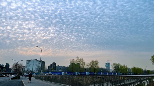 抬頭看！北京天空魚鱗云霸屏 上演視覺盛宴
