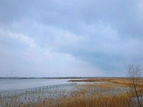 北京今晨云层消散蓝天“露脸” 野鸭湖国家湿地公园景色静谧