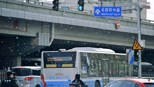 北京飛絮季再度開啟 戶外如“飄雪”