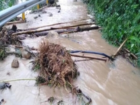 四川宜宾遭遇强降雨 道路积水树木倒伏