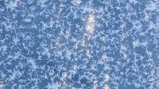 吉林湖面現“冰泡”和“霜花”美麗景觀