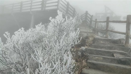 强冷空气“冻真格”广东清远局地出现雾凇或雨夹雪