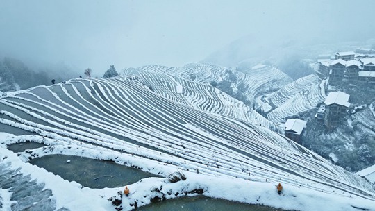 冬日足迹抵达广西桂林 龙脊梯田降雪银装素裹