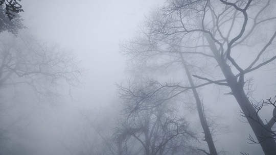 江西庐山大雾能见度不足20米 一片朦胧