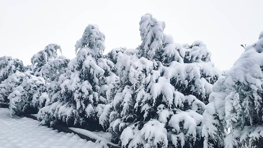  Dulan, Qinghai, is covered with snow in April