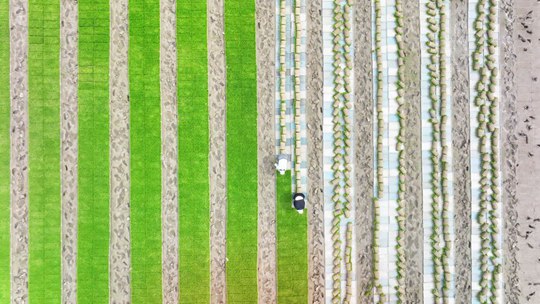  Grasp the busy time of spring ploughing and spring sowing in Changde, Hunan