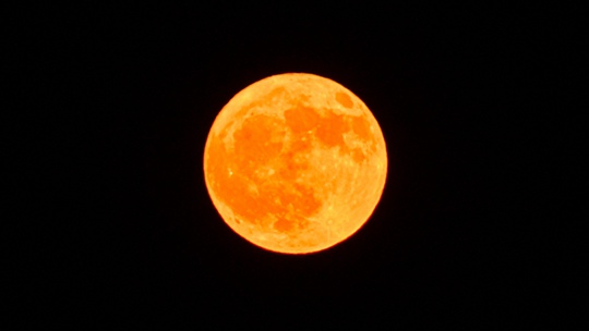 月如圆盘 内蒙古呼伦贝尔上空现“金色”月亮