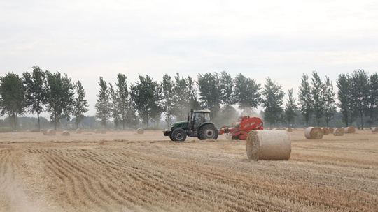 河南省汝南の麦の収穫が終わりに近づいたわらの離田回収が忙しい