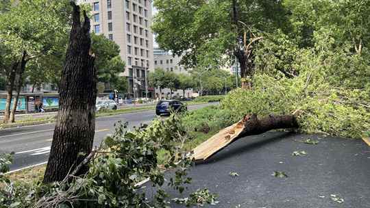  Most of Beijing's streets are now "messy" after a short period of strong wind, wind and rain of 8 to 10 levels