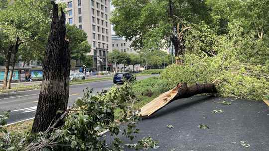 北京大部现8至10级短时大风 疾风骤雨后街头“凌乱”