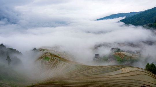  Guangxi Longji terraces in rain and fog are as beautiful as fairyland