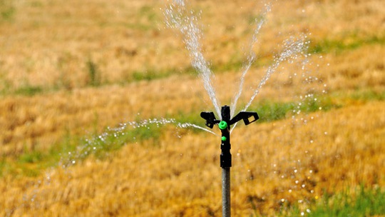  The sprinkler irrigation mode of high temperature and little rain in Pingdingshan, Henan Province is "thirst quenching" for farmland