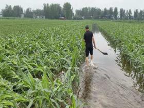 河南南阳社旗县多地内涝受灾 救援工作正在展开