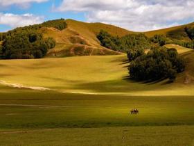  Autumn Feast Wulanbutong Grassland in Inner Mongolia