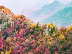 秋意正浓 大自然开启色彩高饱和度模式