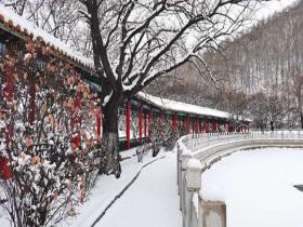 雪落內(nèi)蒙古大興安嶺綽爾林區(qū) 繪就空靈潔白畫(huà)卷